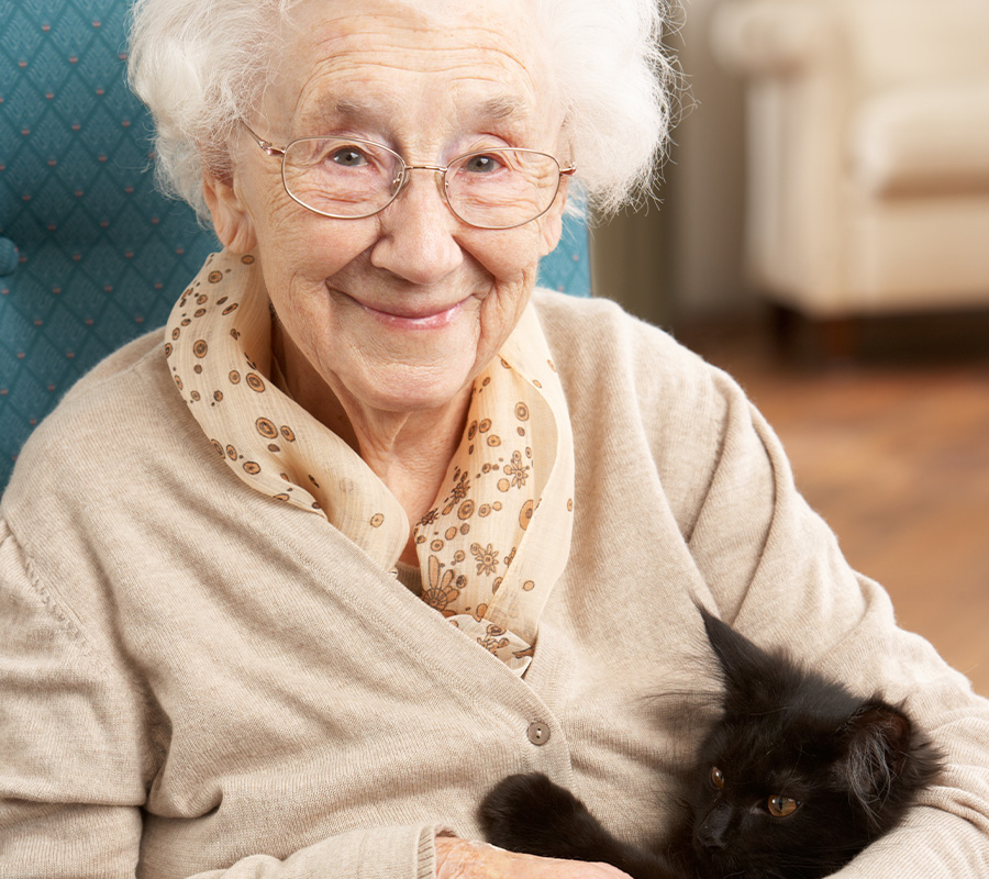 Einfühlsame Demenzbetreuung in vertrauter Umgebung Ältere Frau lächelt mit Katze auf dem Schoß